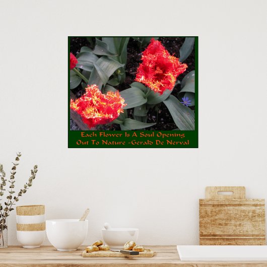 Skagit Tulip Tulip Poster (Küche)