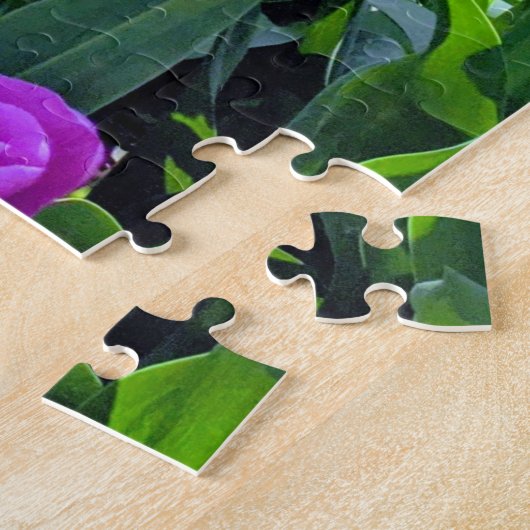 Skagit Tulips Puzzle (Seite)