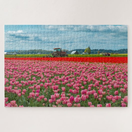 Skagit Valley Tulip Spring Puzzle (Horizontal)