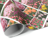 Skagit Valley, WA Tulpen Geschenkpapier (Rolleneckpunkt)