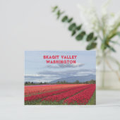 Skagit Valley Washington State Tulpe Postkarte (Stehend Vorderseite)