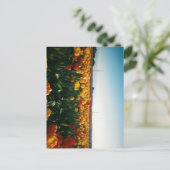 Skagital Postkarte (Stehend Vorderseite)