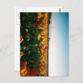 Skagital Postkarte (Vorne/Hinten)