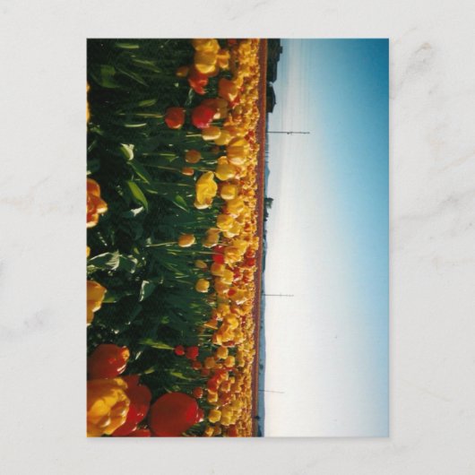 Skagital Postkarte (Vorderseite)