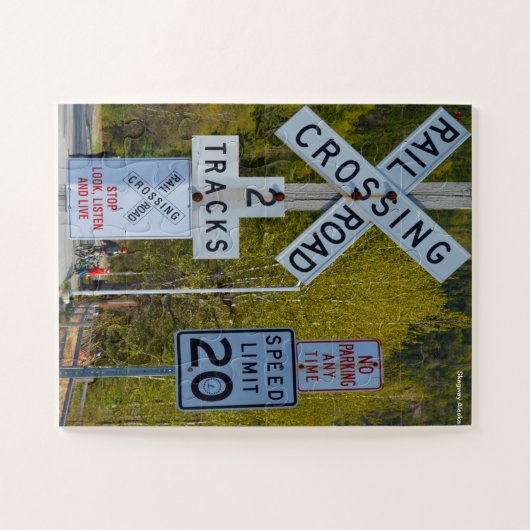 Skagway Alaska Puzzle (Horizontal)