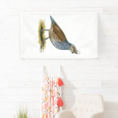 Skala Banner (Insitu)