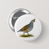 Skala Button (Vorne & Hinten)