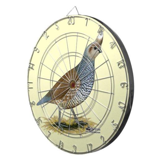 Skala Dartscheibe (Vorderseite rechts)