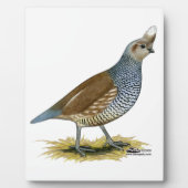 Skala Fotoplatte (Vorderseite)