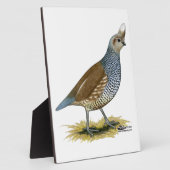 Skala Fotoplatte (Seite)