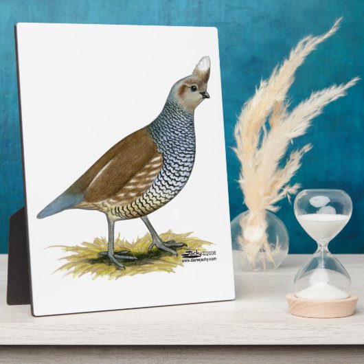 Skala Fotoplatte (Seite)