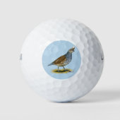 Skala Golfball (Vorderseite)