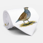 Skala Krawatte (Gerollt)