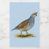 Skala Lebensmitteletikett (Einzelnes Label)