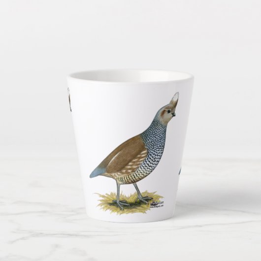 Skala Milchtasse (Vorderseite)