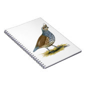 Skala Notizblock (Rechte Seite)