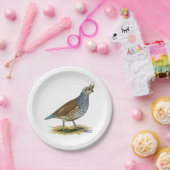 Skala Pappteller (Party)