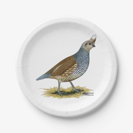 Skala Pappteller (Vorderseite)