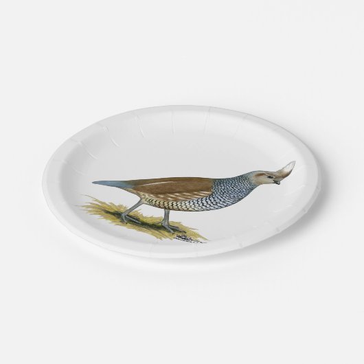 Skala Pappteller (Schrägansicht)