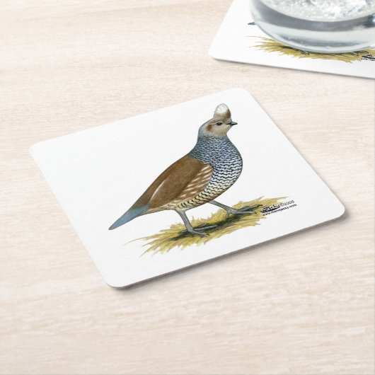 Skala Rechteckiger Pappuntersetzer (angewinkelt)