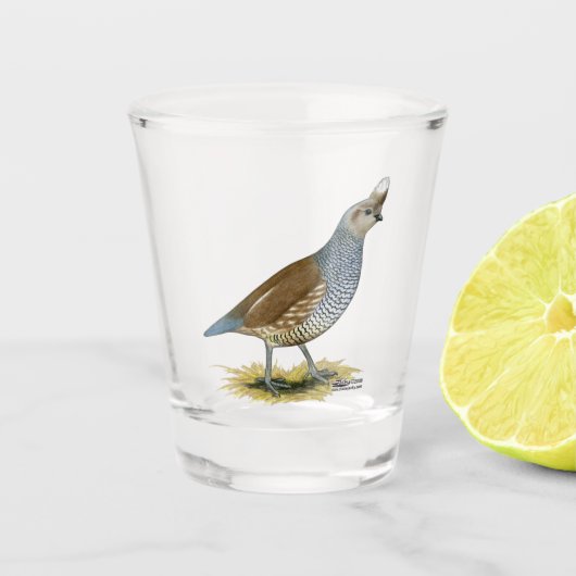 Skala Schnapsglas (Vorderseite)