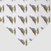 Skala Seidenpapier (Ausschnitt)