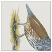 Skala Stoff (Nahaufnahme)