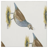 Skala Stoff (Muster)