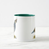 Skala Tasse (Zentrum)