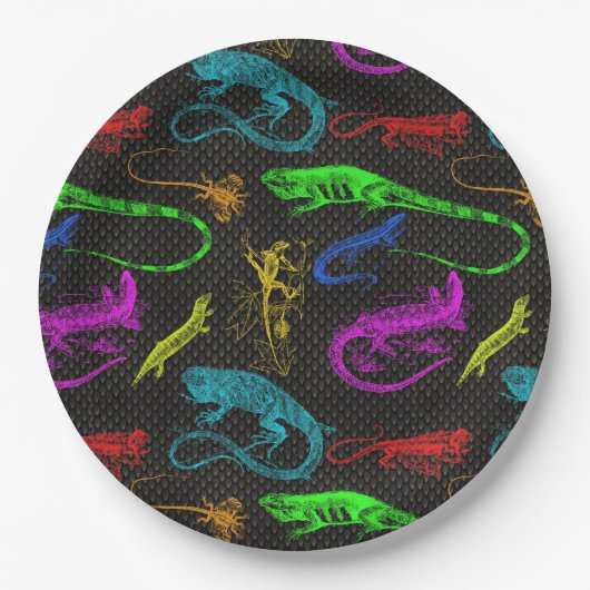 Skalen! Pappteller (Vorderseite)