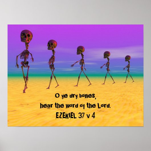 Skallywags Poster (Vorne)