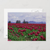 Skance Valley Beauty Postkarte (Vorne/Hinten)