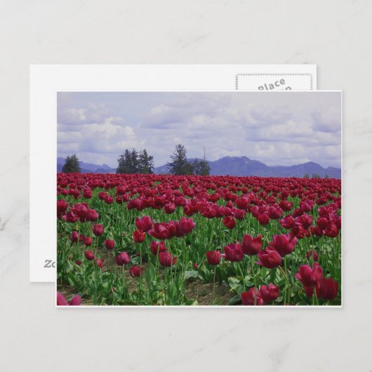 Skance Valley Beauty Postkarte (Vorne/Hinten)