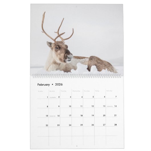 Skandinavien 2026 kalender (Feb 2026)