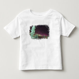 Skandinavien, Finnland, Lappland, Kakslauttanen, Kleinkind T-shirt
