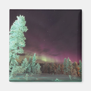 Skandinavien, Finnland, Lappland, Kakslauttanen, Magnet