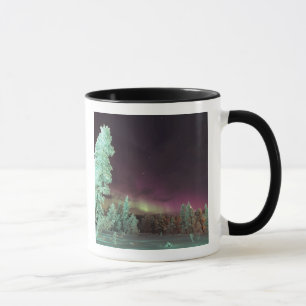 Skandinavien, Finnland, Lappland, Kakslauttanen, Tasse