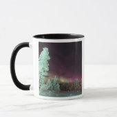 Skandinavien, Finnland, Lappland, Tasse (Links)