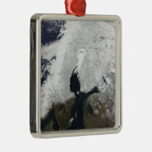 Skandinavien Silbernes Ornament (Rechts)