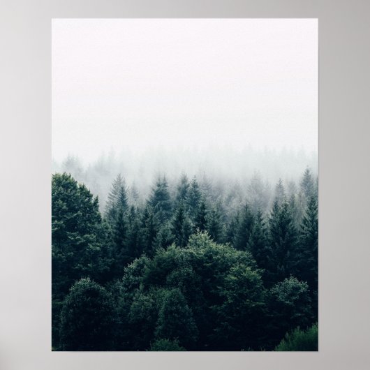 Skandinavier Foggy Pine Forest Poster (Vorne)