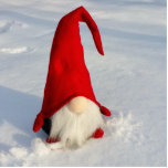 Skandinavischer WeihnachtsGnome Fotoskulptur Ornament<br><div class="desc">andernfalls bekannt als Tomte Nissa</div>