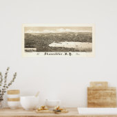 Skaneateles New York 1884 Antique Panoramabalkarte Poster (Küche)