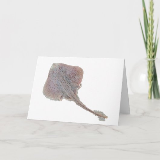 Skate-Note-Karte Karte (Vorderseite)