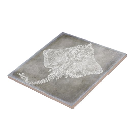 Skate-Pewter-Neutral für Küstengewässer Fliese (Seite)