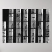 Skate! Poster (Vorne)