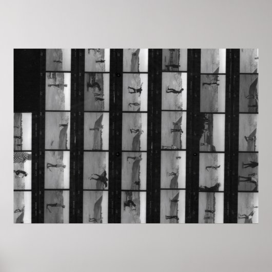 Skate! Poster (Vorne)