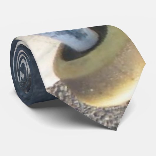 Skate-Rad Krawatte (Gerollt)