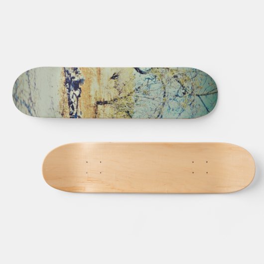 Skate Skateboard (Horizontal)