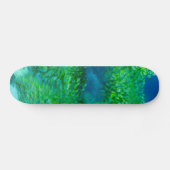 Skateboard (Horizontal)