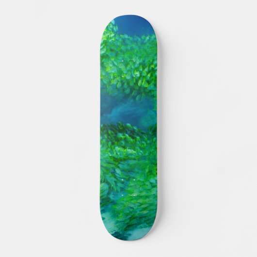 Skateboard (Vorderseite)